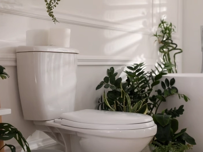 Toilet Repair and Installation in Auburn, WA